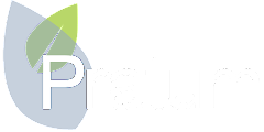 pratum.png